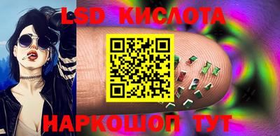 гидра Будённовск