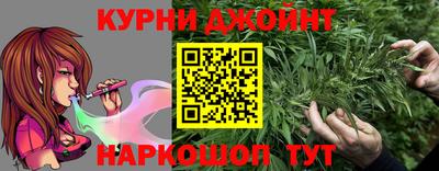 гидра Будённовск