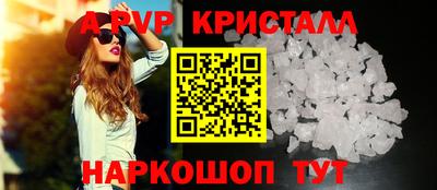 гидра Будённовск