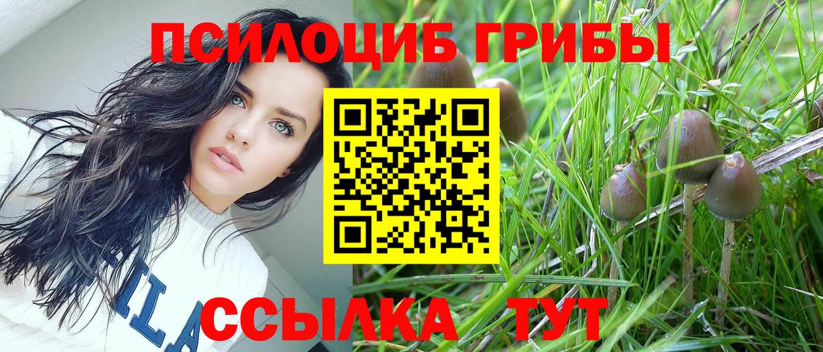 Галлюциногенные грибы Magic Shrooms  Вход с VPN  Узловая 